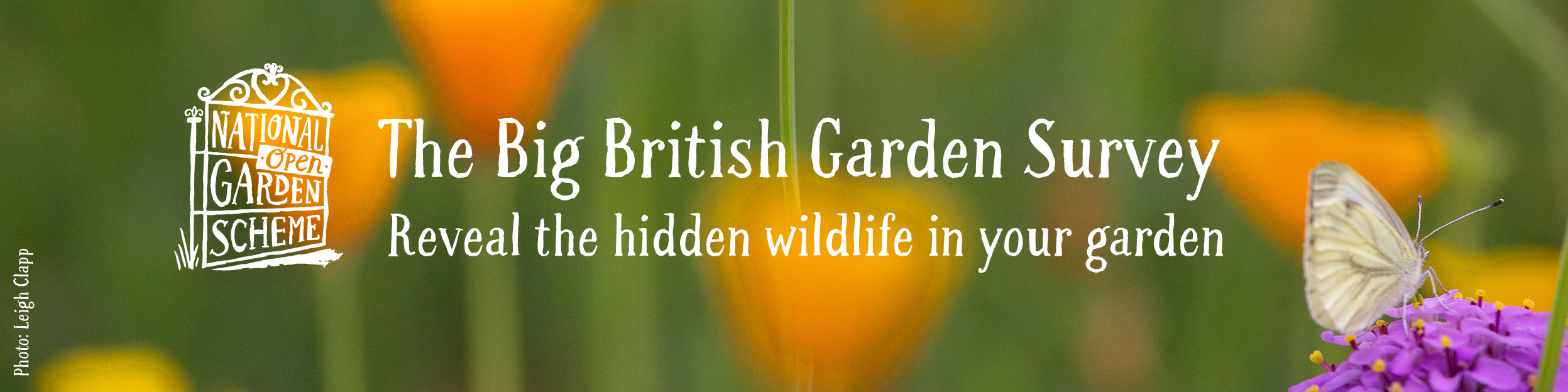 National Garden Survey